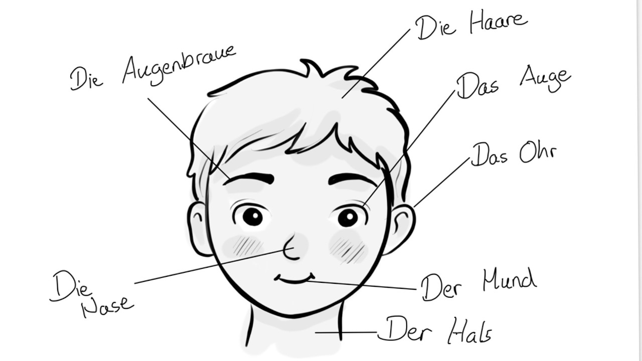 Comprehensible Input German – The Face A1 Super Beginner