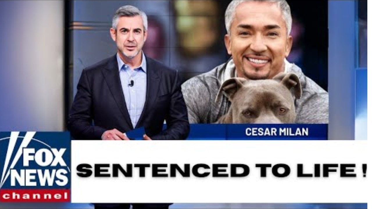 Here's What They Found In Cesar Milan's Estate, And It's Not Good 1