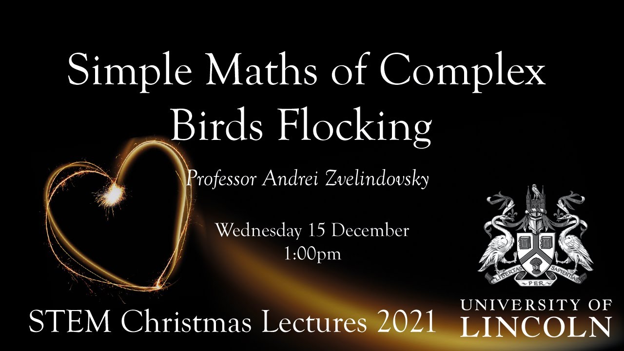 Simple Maths of Complex Birds Flocking | Professor Andrei Zvelindovsky