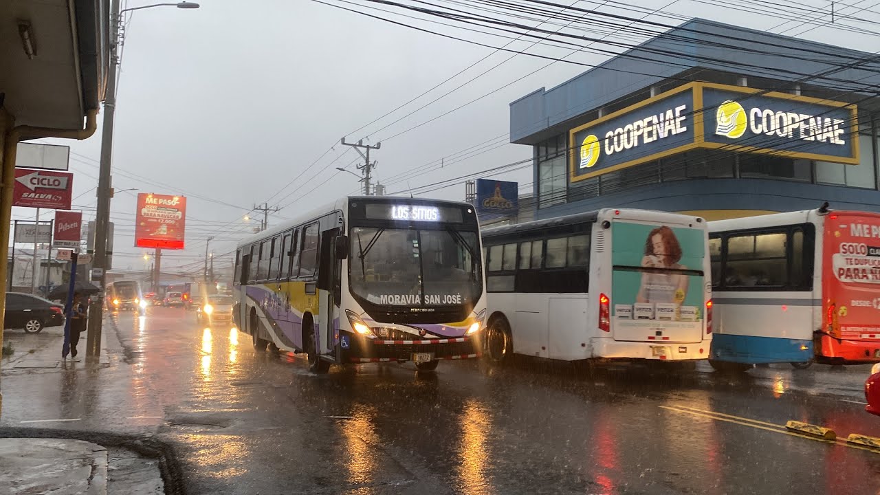 Buses Guadalupe