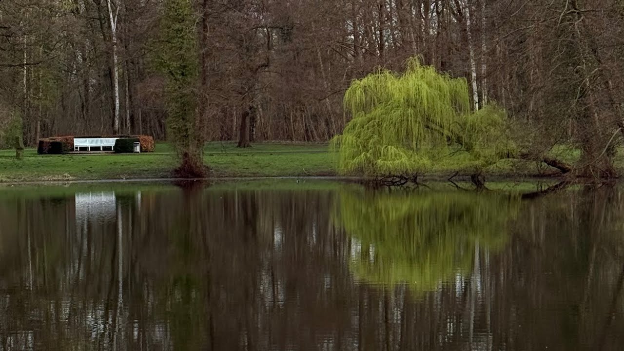 📍 Курортный парк Бад-Хамм - это исторический парк, построенный около 1882 года,зап.Германия 