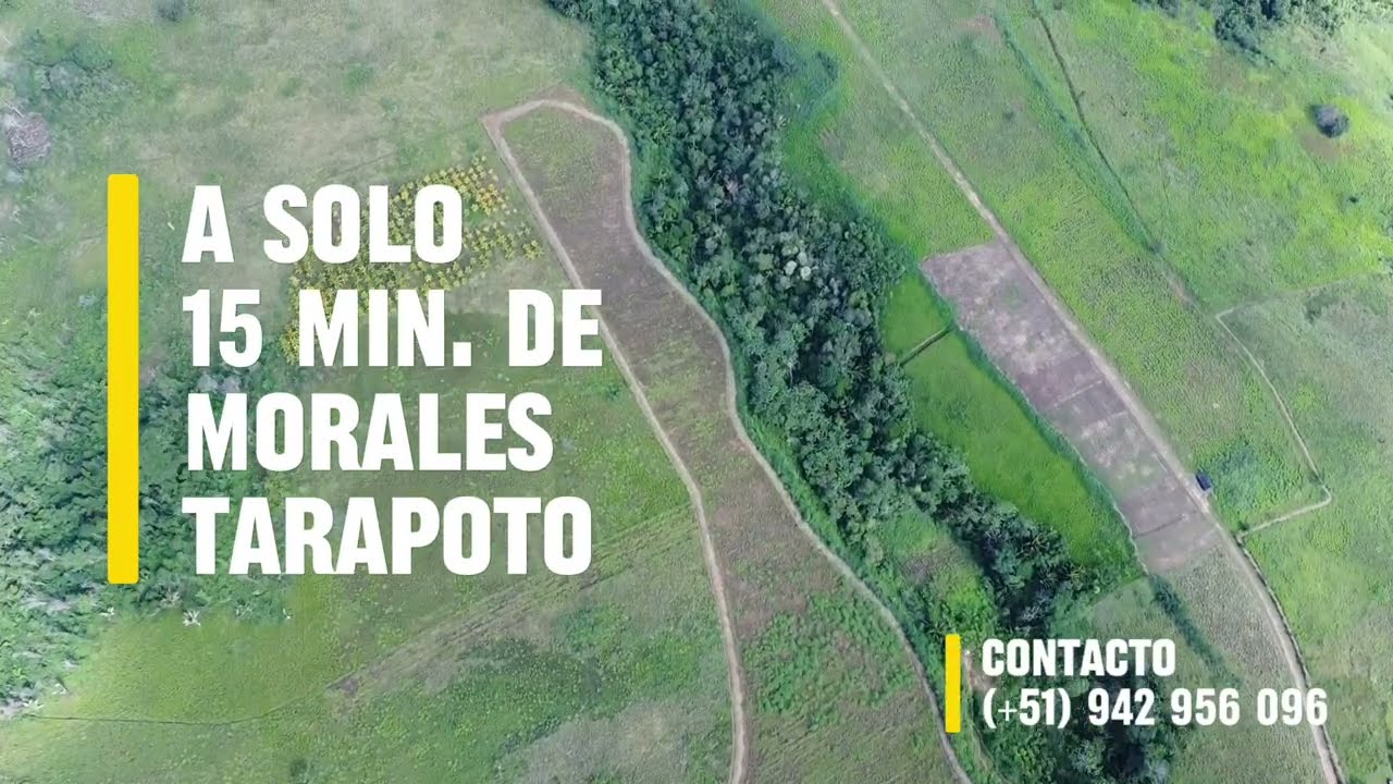 VENTA DE TERRENO 12 HECTÁREAS EN TARAPOTO