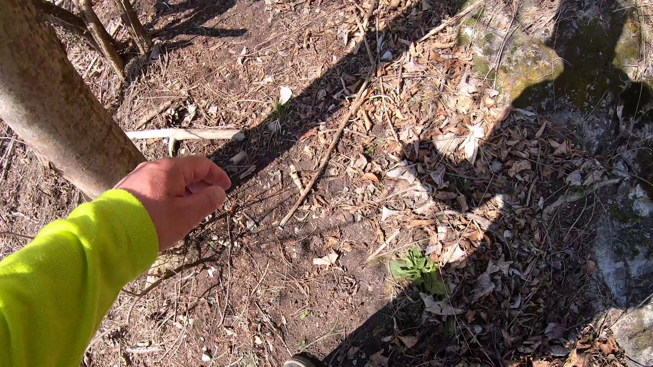 🌳 #Pe&scaron;iZoŽiliny CXVI - Por&uacute;bka - Konsk&aacute; pri Rajci