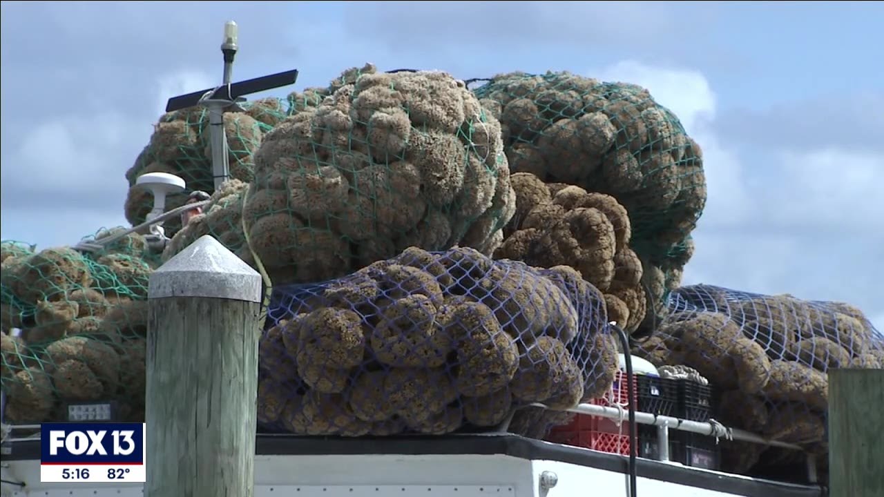 Historic Tarpon Springs sponge docks spot sells for millions
