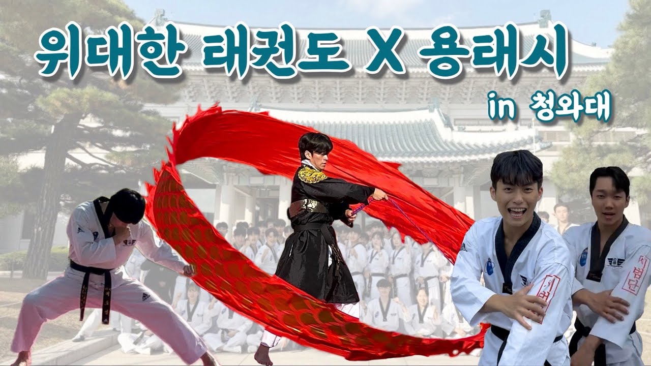 ✨ 위대한 태권도 X 용태시 in 청와대 🏛️ / YTD-VLOG
