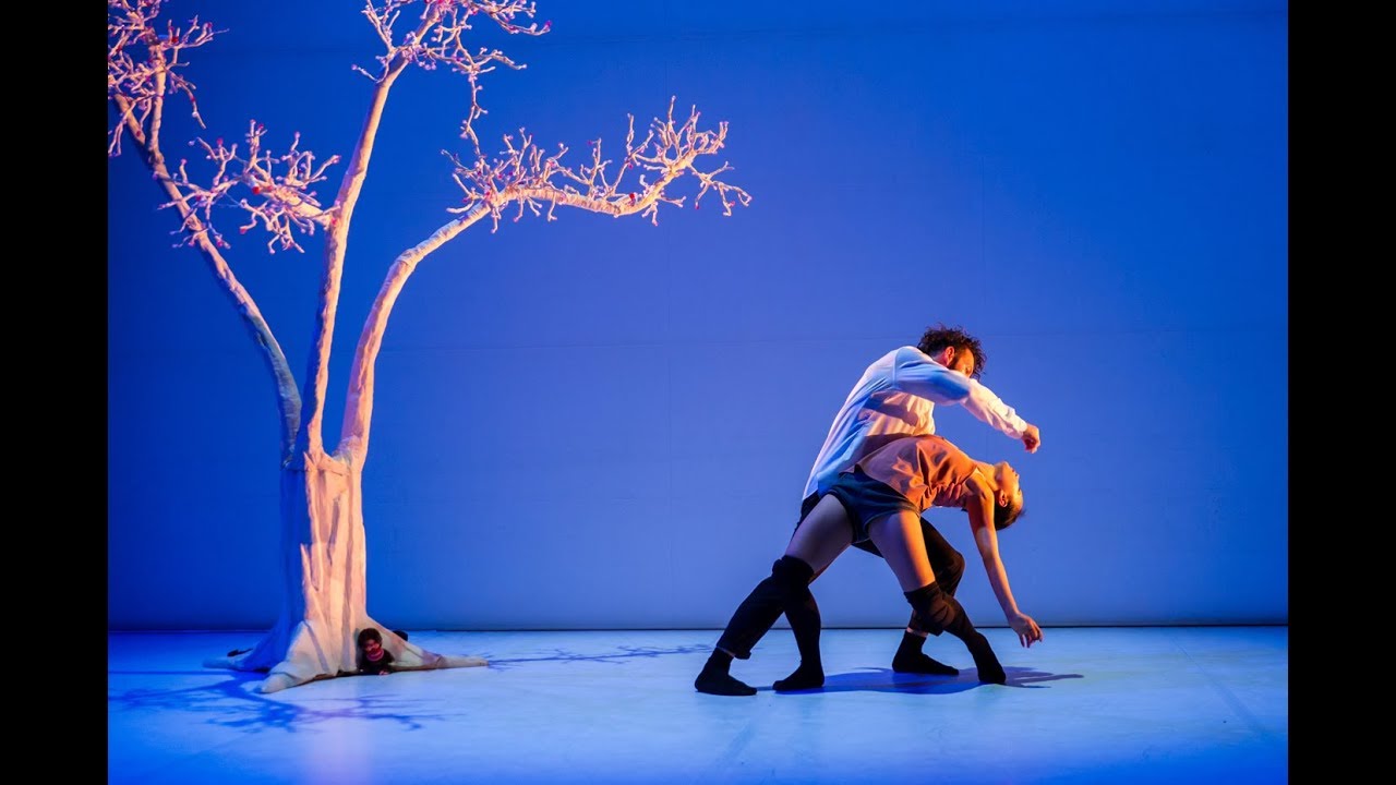 W.A.M. We Are Monchichi | COMPAGNIE WANG RAMIREZ