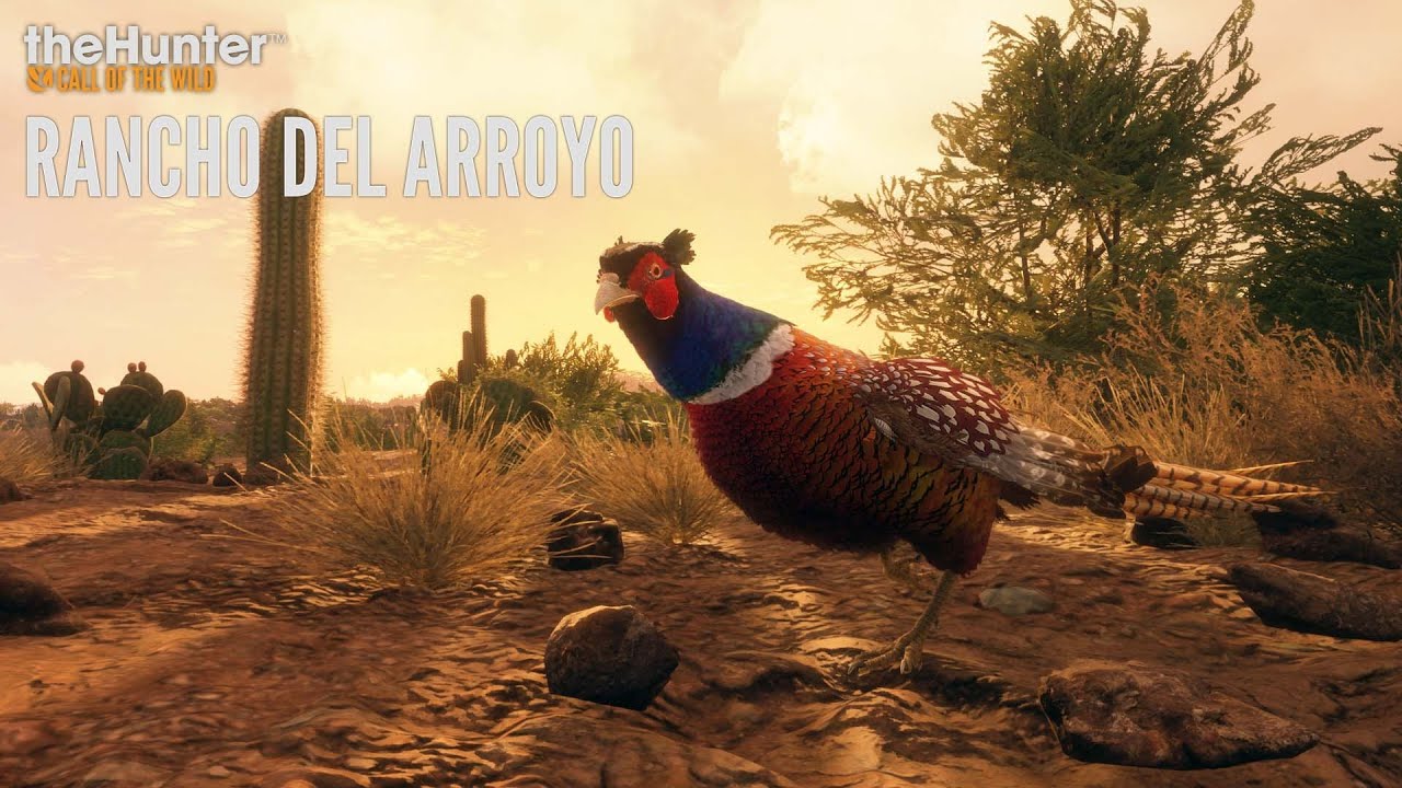 theHunter: Call of The Wild--Rancho Del Arroyo Missions