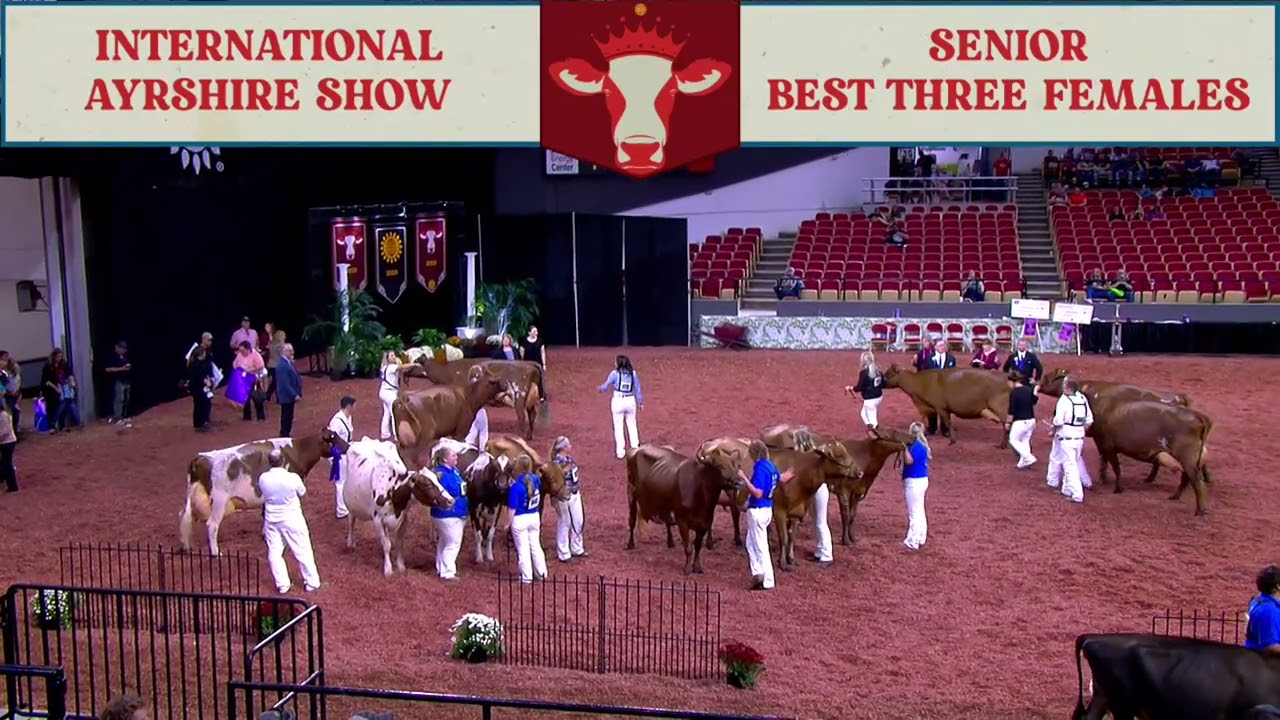 181 SENIOR BEST 3 - AYRSHIRE