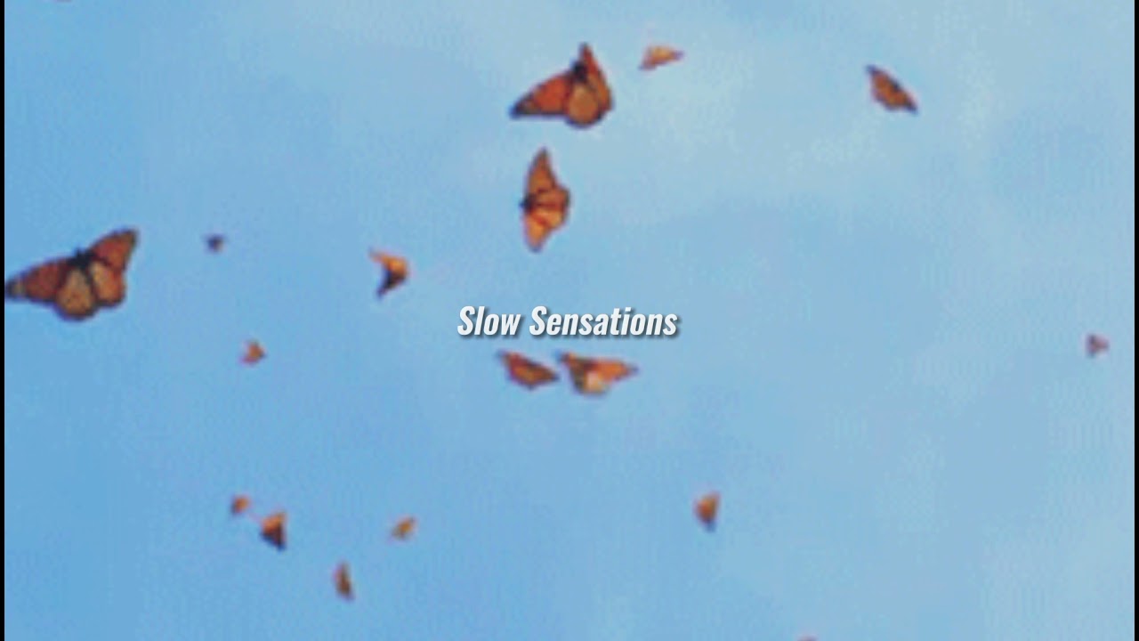 2scratch - butterflies (slowed + reverb)