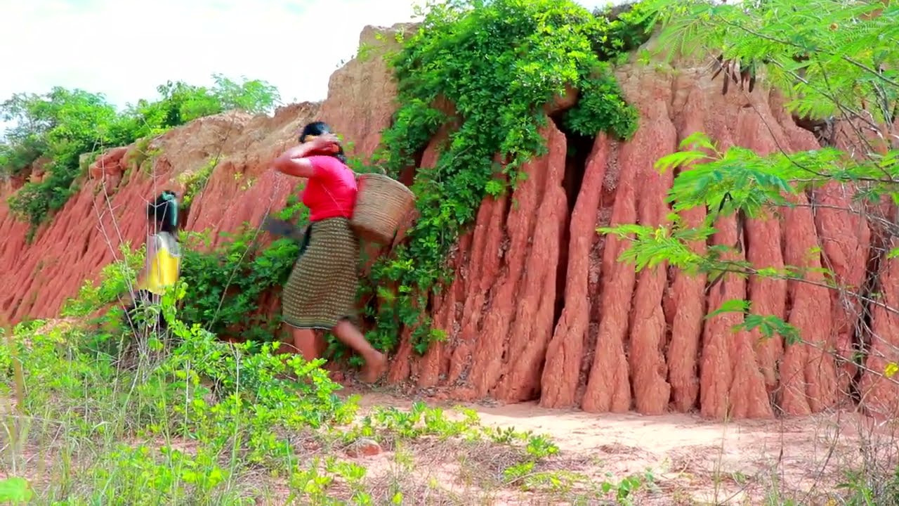 Primitive Life Village-Mother catches Fish cook - Cute baby monkey Puppies Eating delicious(Part2)