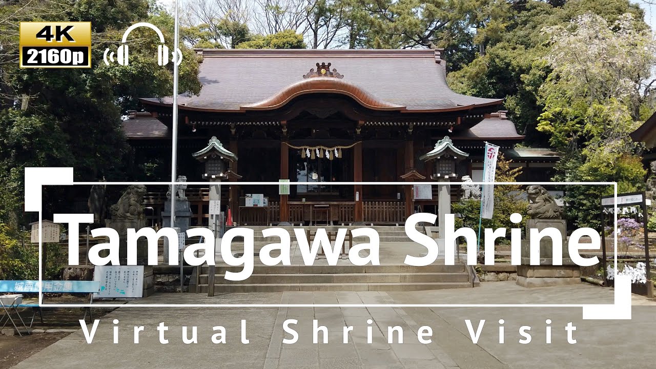 [4K/Binaural Audio] Virtual Shrine Visit: Tamagawa Shrine - Tokyo Japan