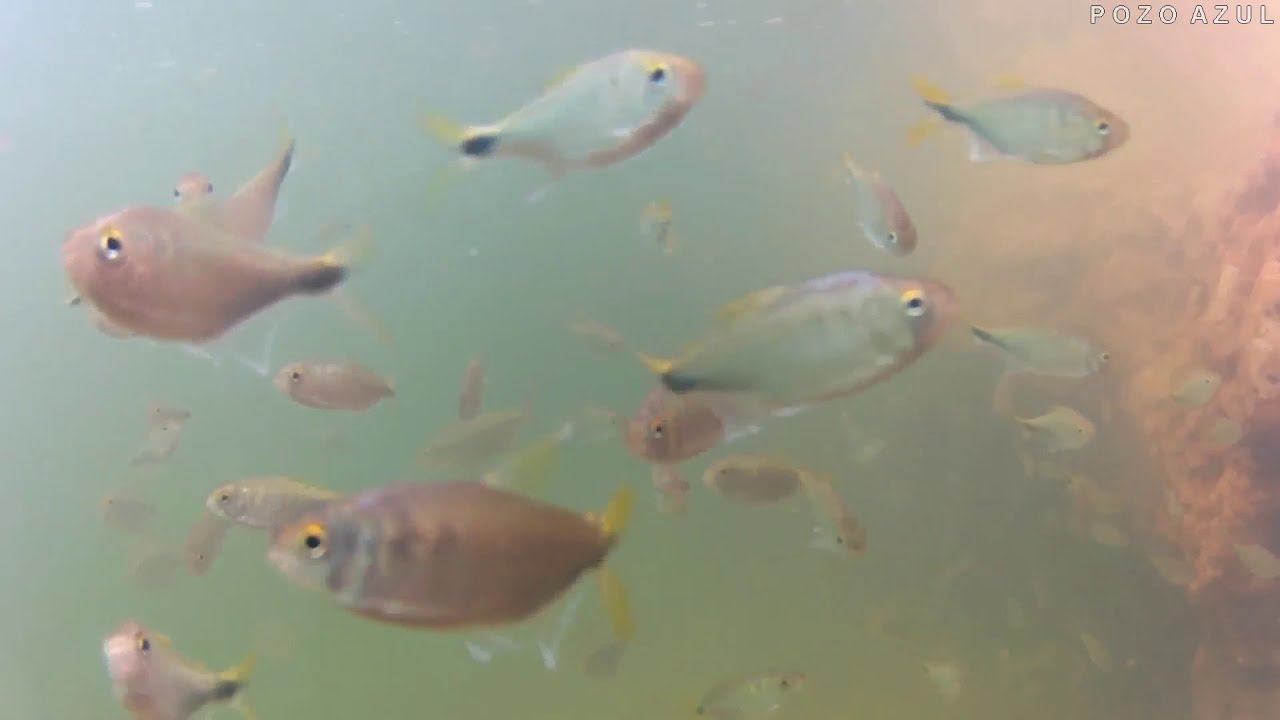 Pozo Azul en Acacias Meta, en contacto con la naturaleza