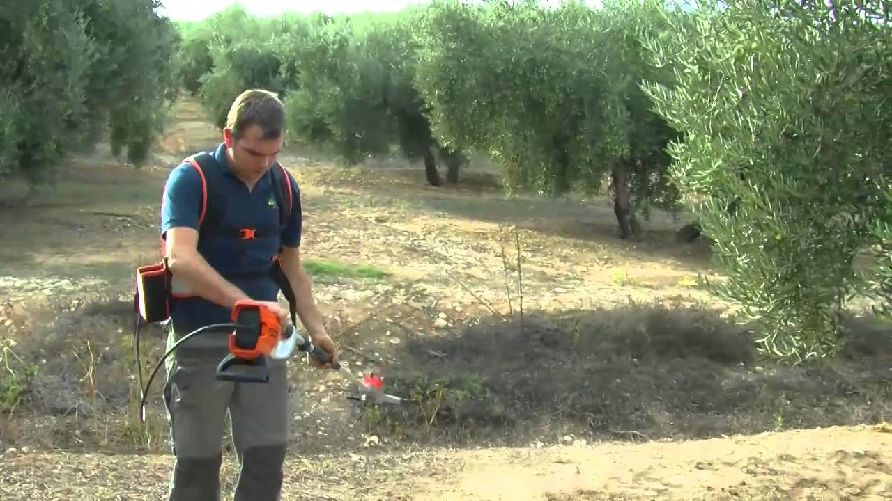 Tierra Fertil. Sector Primario. Montiel Maquinaria Vareador de Bateria.