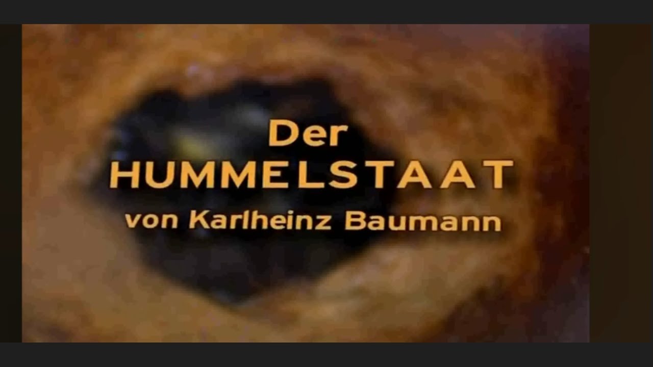 Der Hummelstaat deutsch