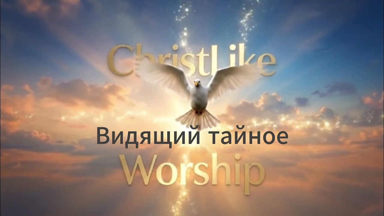 Видящий тайное