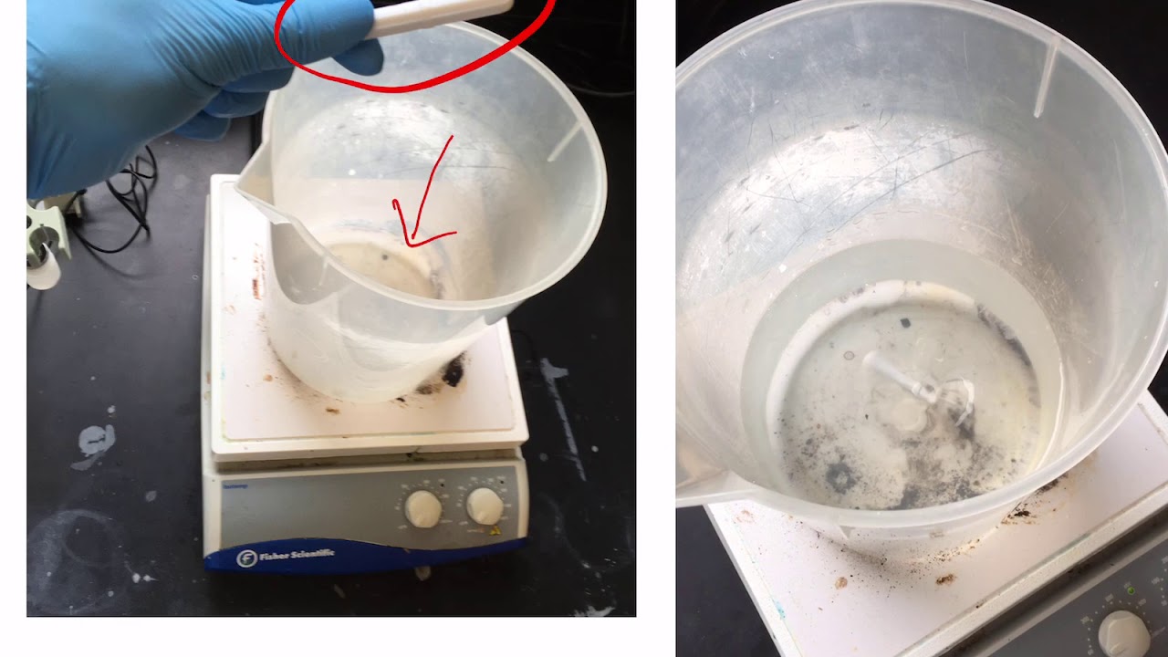 Carrot Callus Induction 1 - Culture Medium Preparation - Plant Tissue Culture
