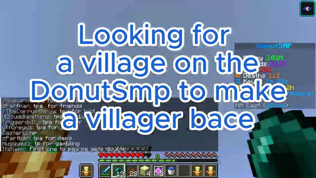 Villager Bace - Donutsmp