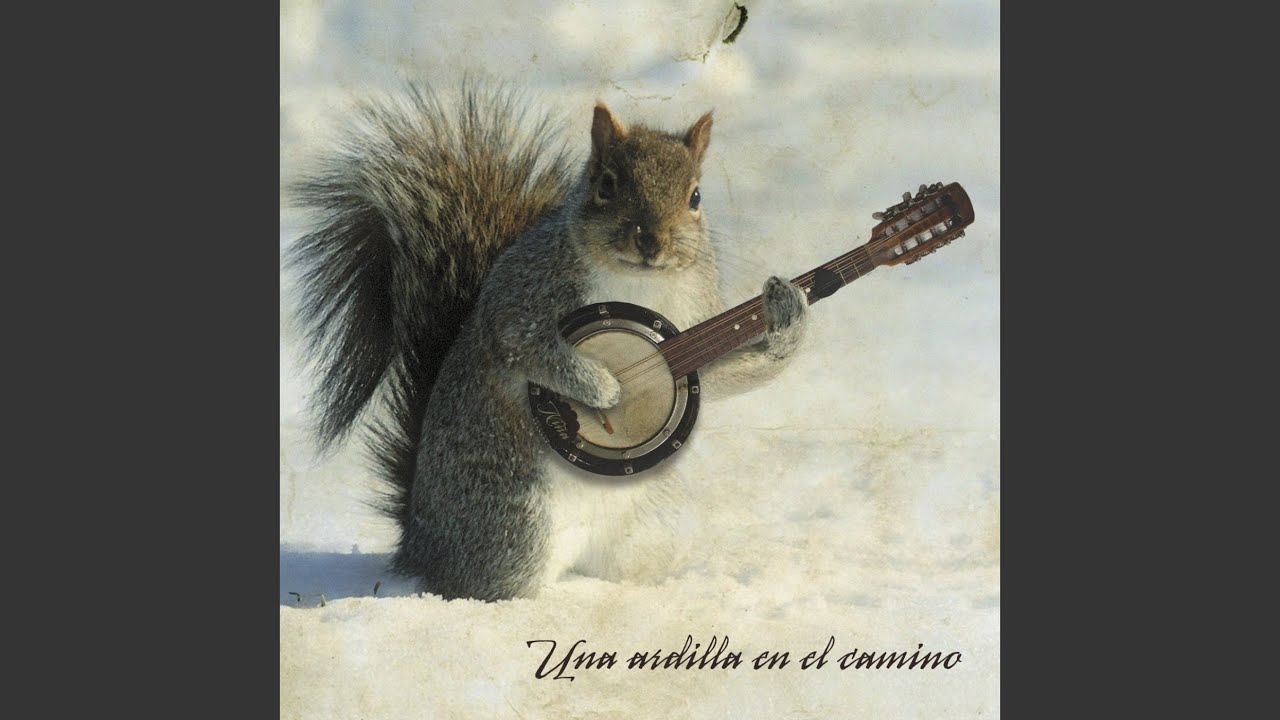 Una Ardilla en el Camino