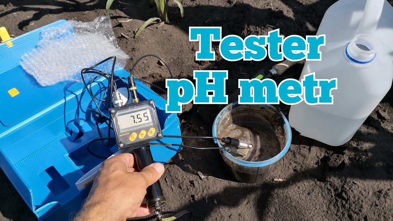 #321 Testuję pH metr Dramiński - zobacz czemu kukurydza nie rośnie...