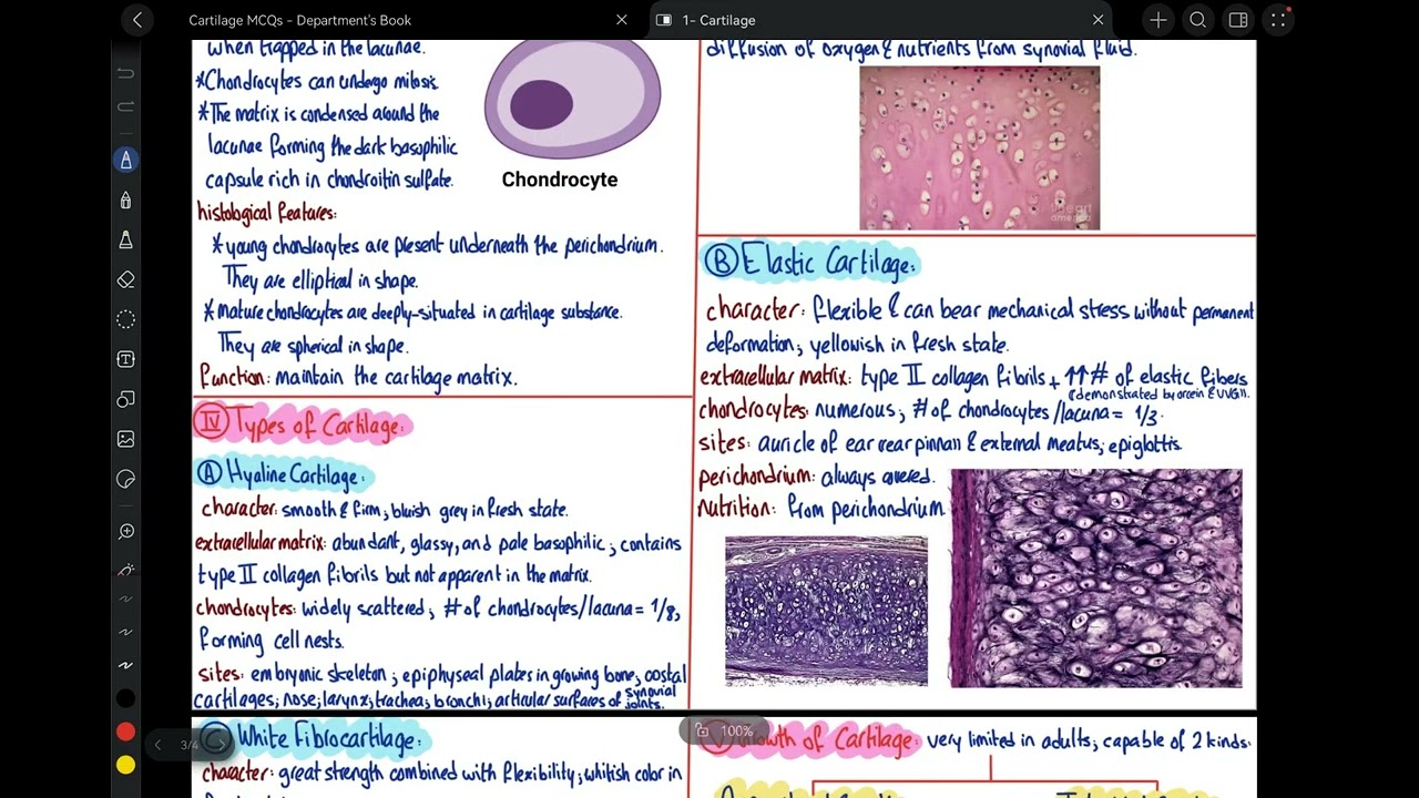 Cartilage | Histology Book MCQs 1 | MSK | Ammar Kashlan 