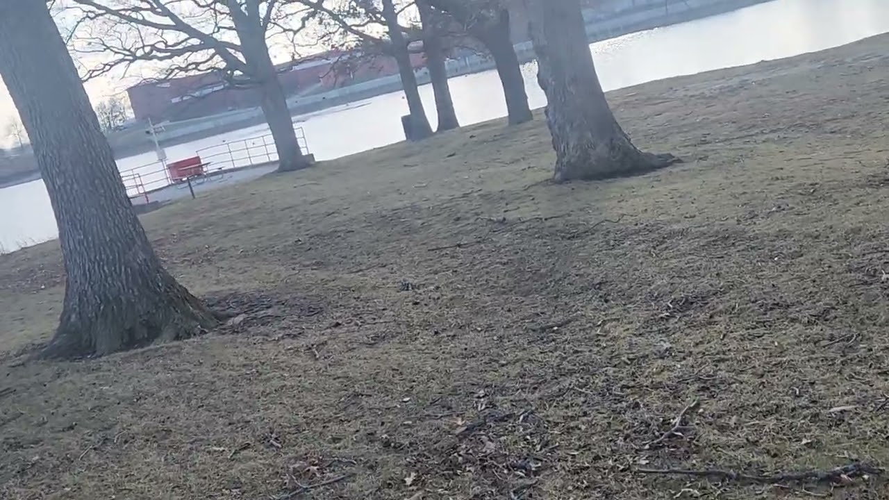 Lake Bloomington Illinois low water part 1