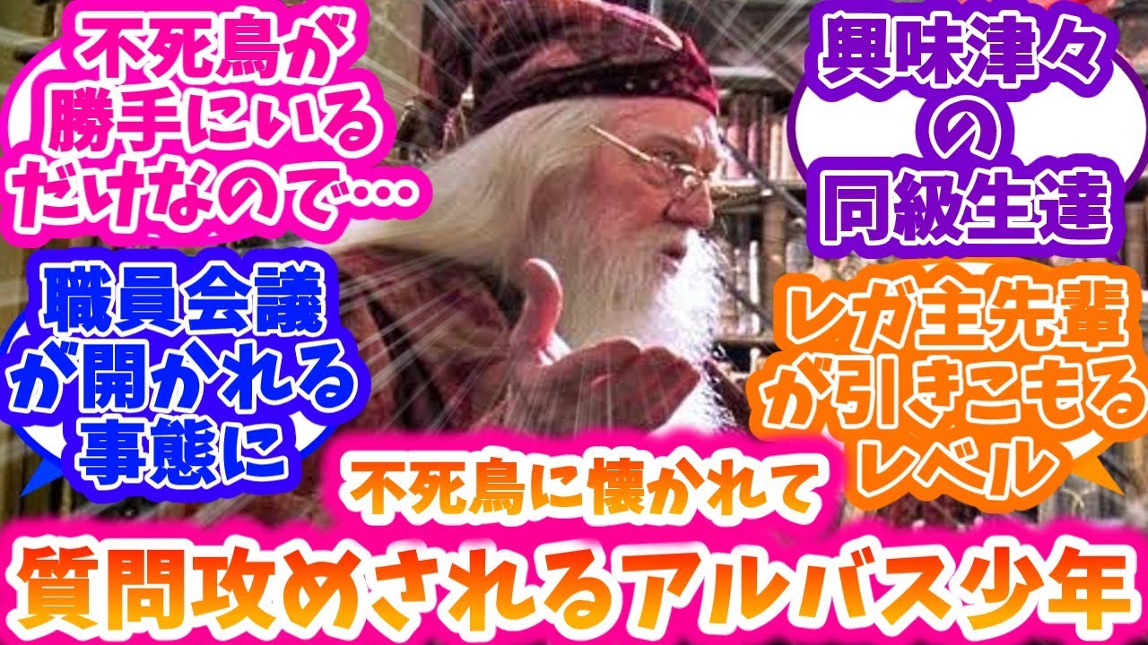 【ホグワーツレガシーSS】不死鳥に懐かれて質問攻めにされるアルバス少年SS