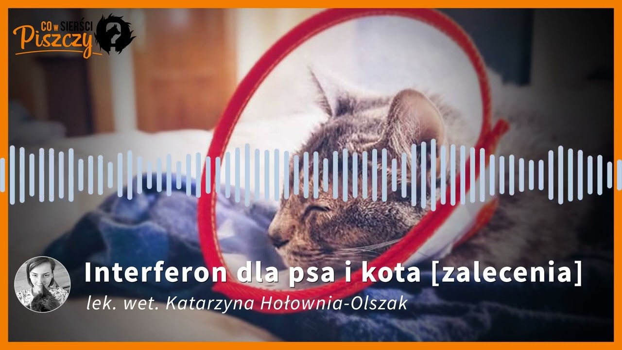 Interferon dla psa i kota | Lek. wet. Katarzyna Hołownia-Olszak