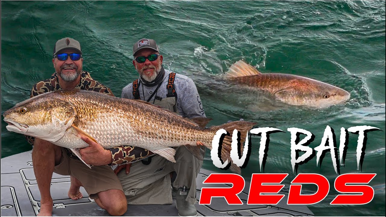 “Catching Giant Redfish on the Pamlico Sound with Cut Bait Rigs!”