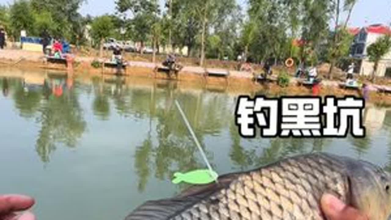 今天渔获虽然不多，但高低也算是硬气了一回。#原来钓鱼才是抖音运动顶流 #2025dou来钓鱼 #dou是钓鱼人 #沃鼎王者神剑黑坑竿