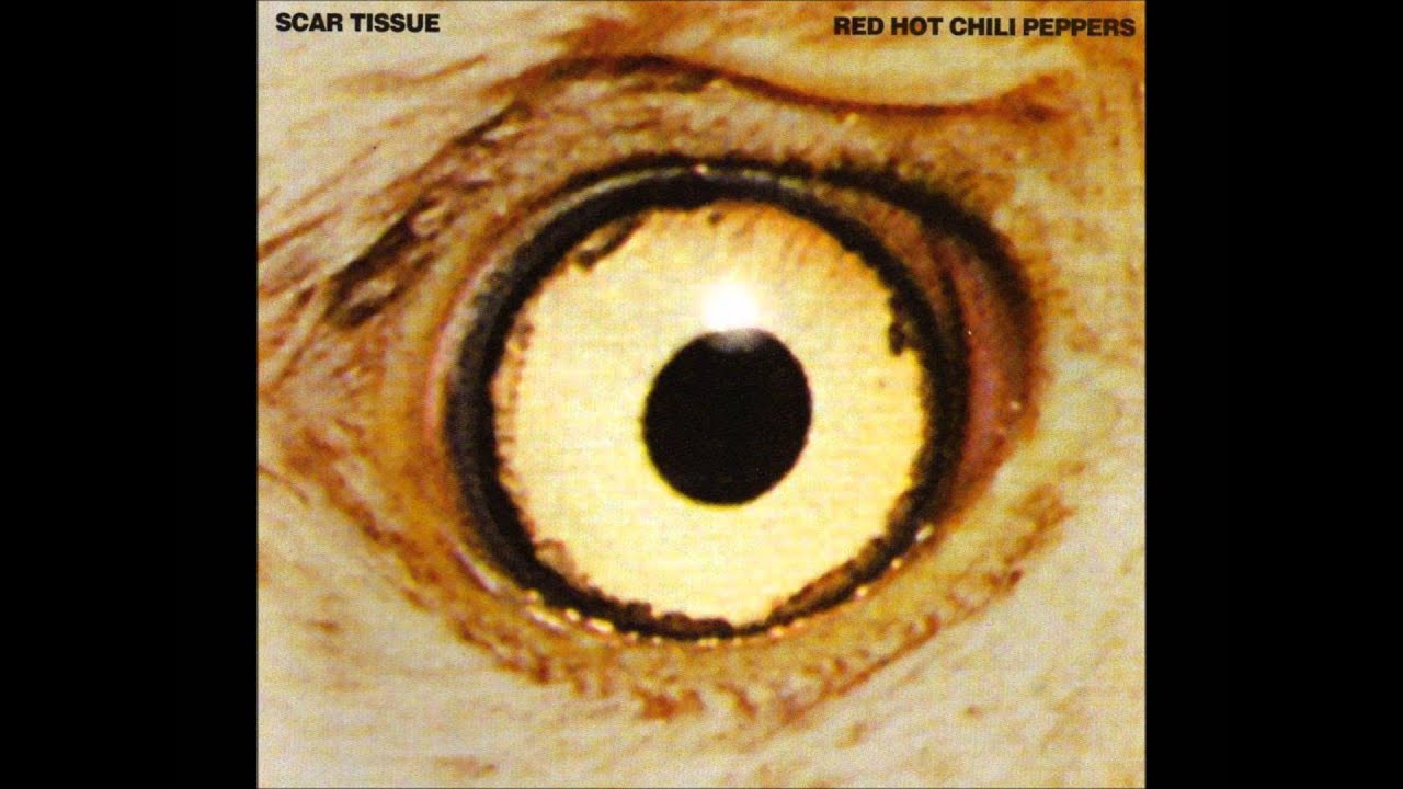 Red Hot Chili Peppers - Instrumental #1 - B-Side [HD]