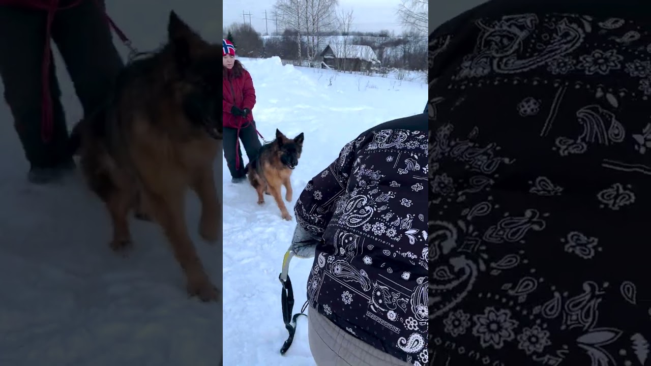 «Тор». Третье занятие