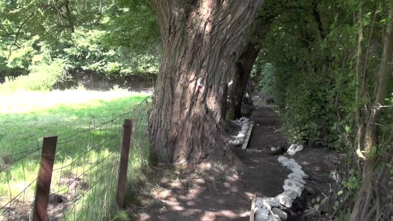 Carnières: Réhabilitation de la Haye Geant