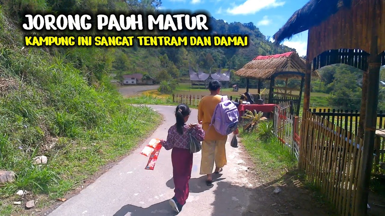 Jorong Pauh Matur,Kampung Ini Berada Dipuncak bukit
