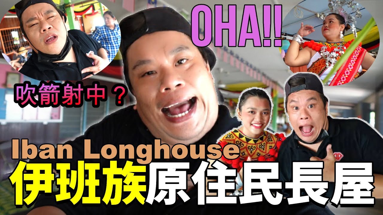 小 心 吹 箭！伊班族长屋欢快迎宾舞，传统服装头饰首饰全都上！Oha!!