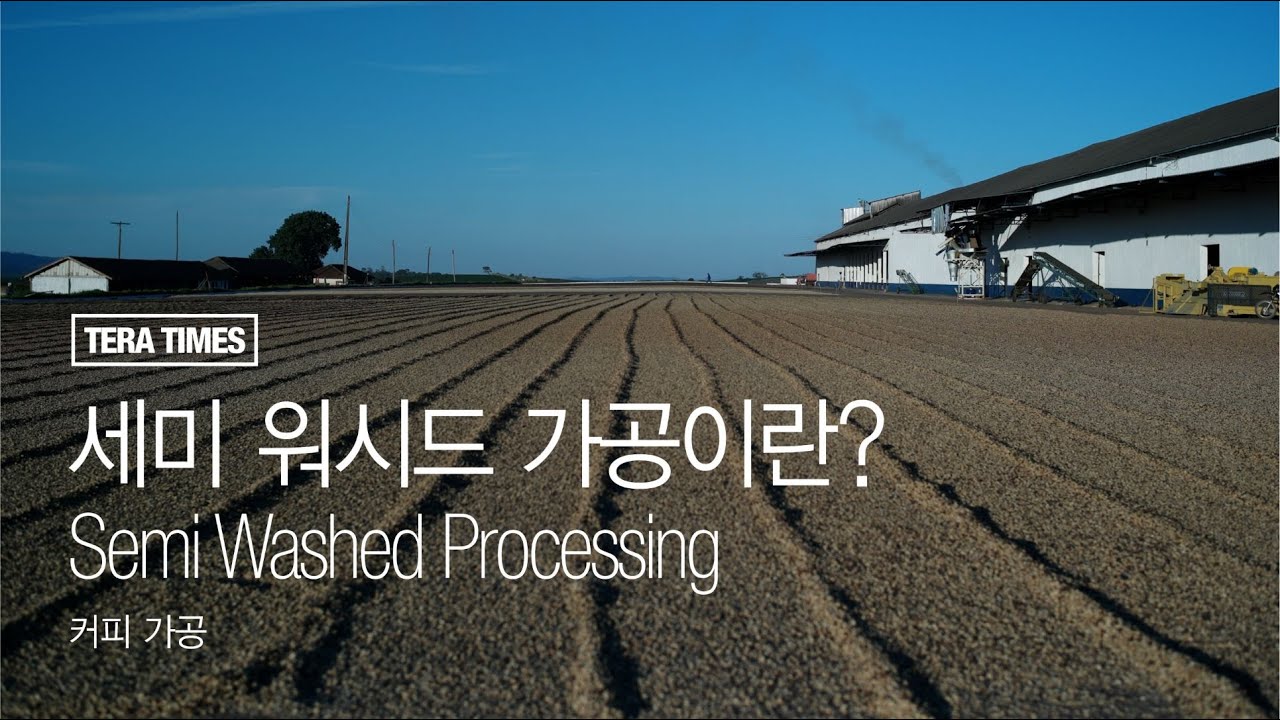 [TERA Times]세미 워시드 가공이란?