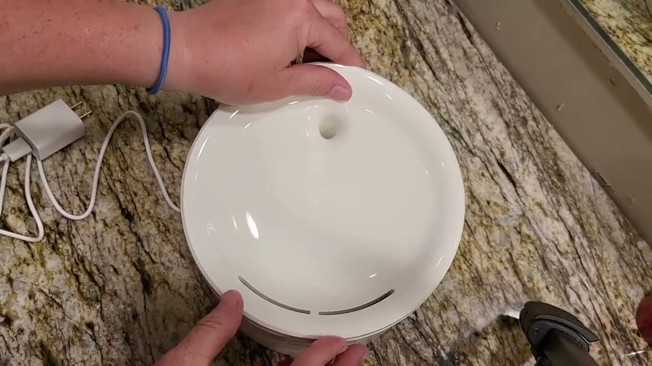 Huimpet Cat Water Fountain, Ultra Quiet Pet Water Fountain Review, Very quiet