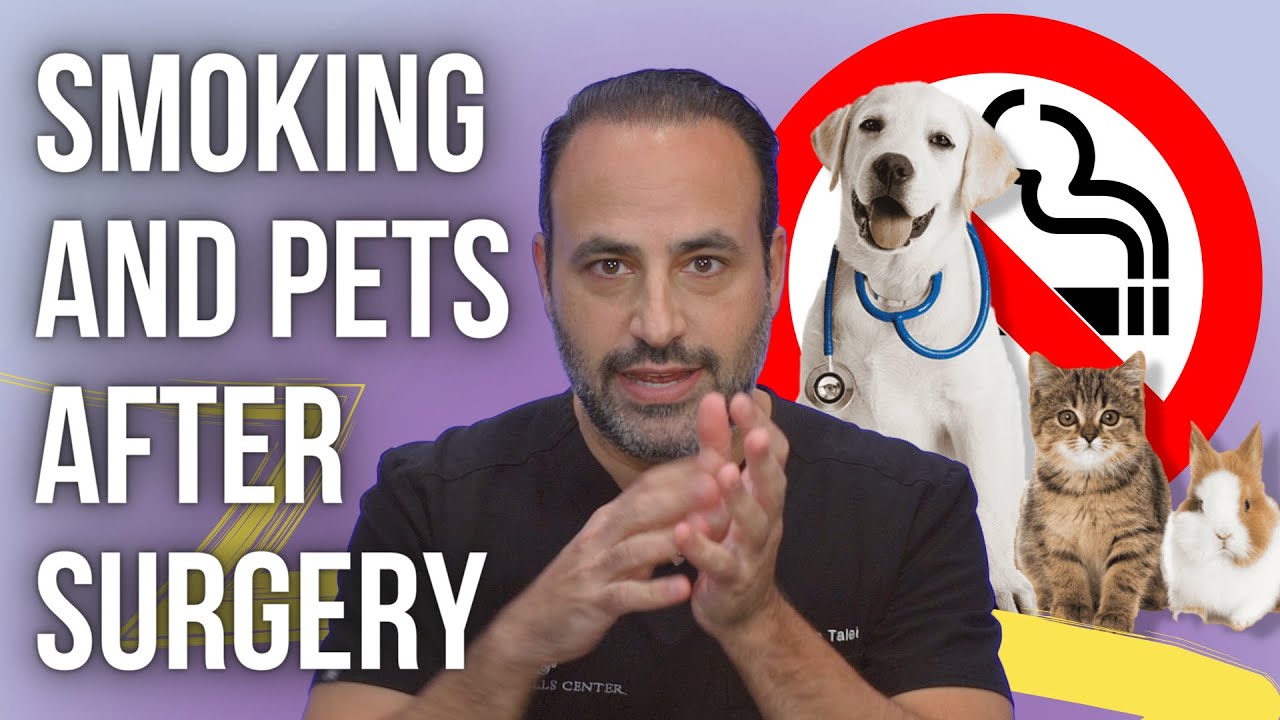 Smoking And Pets After Surgery |  Lesson of the Day