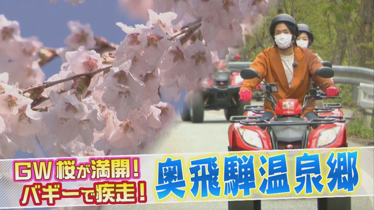 【GW　桜が満開！】オクヒダバギーで巡る奥飛騨温泉郷