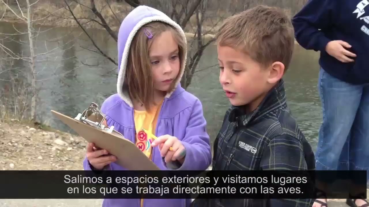 kindergarteners as experts esp subs