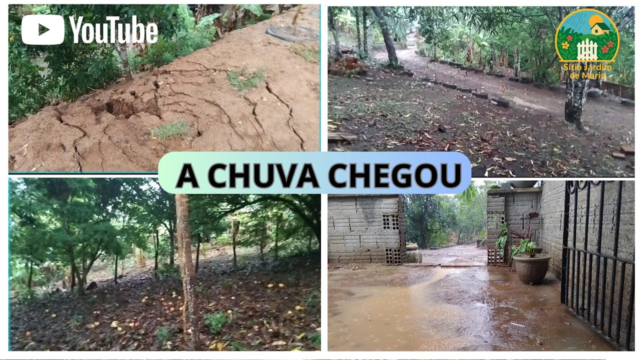 A CHUVA VOLTOU MUITO FORTE AQUI NO SÍTIO 