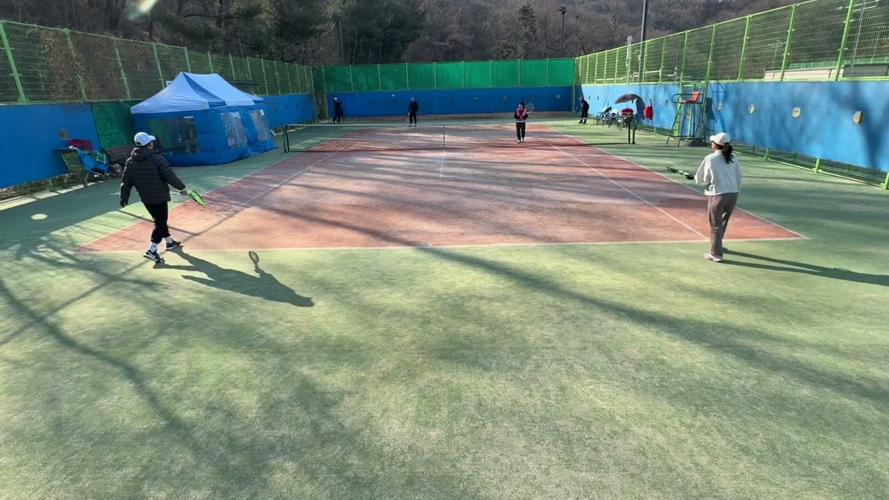 배2