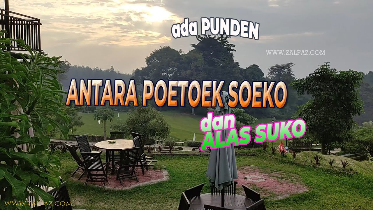 rainbow garden di poetoek soeko dan ALAS SUKO antaranya PUNDEN  indah ketika senja camping dan cafe