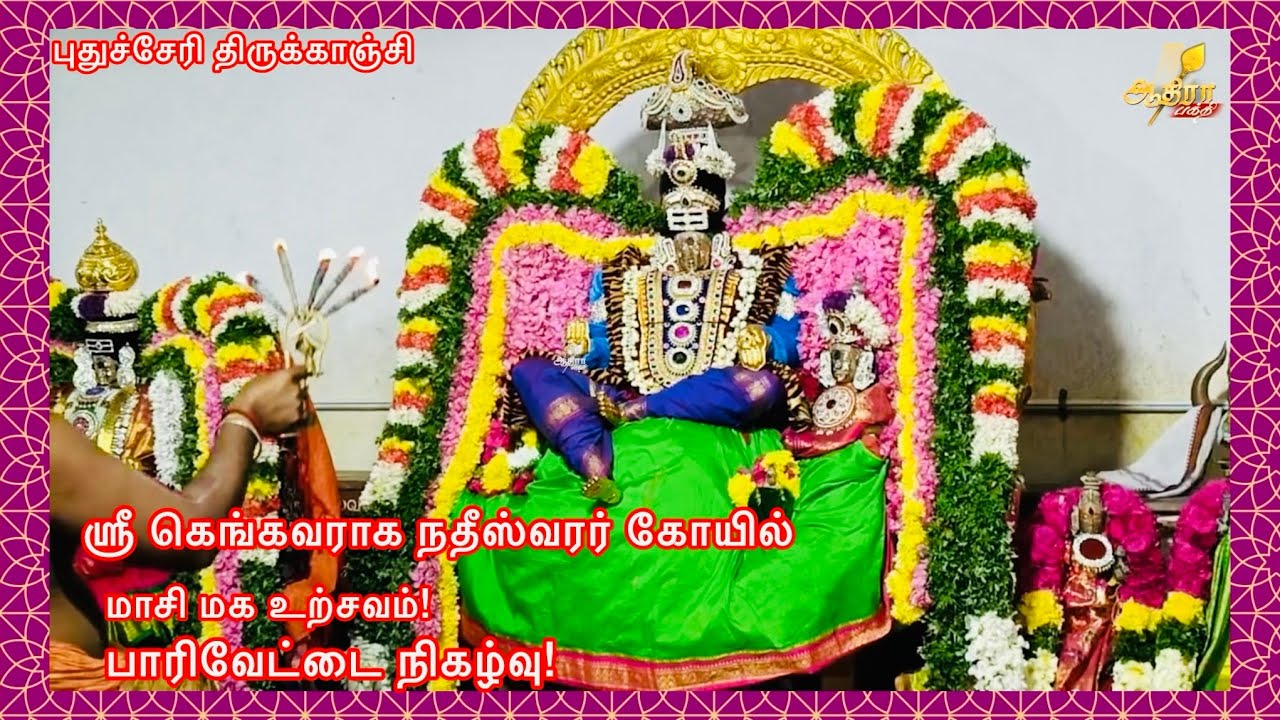 புதுச்சேரி திருக்காஞ்சி ஸ்ரீ கெங்கவராக நதீஸ்வரர் ஆலய மாசி மக உற்சவம்! பாரிவேட்டை நிகழ்வு!