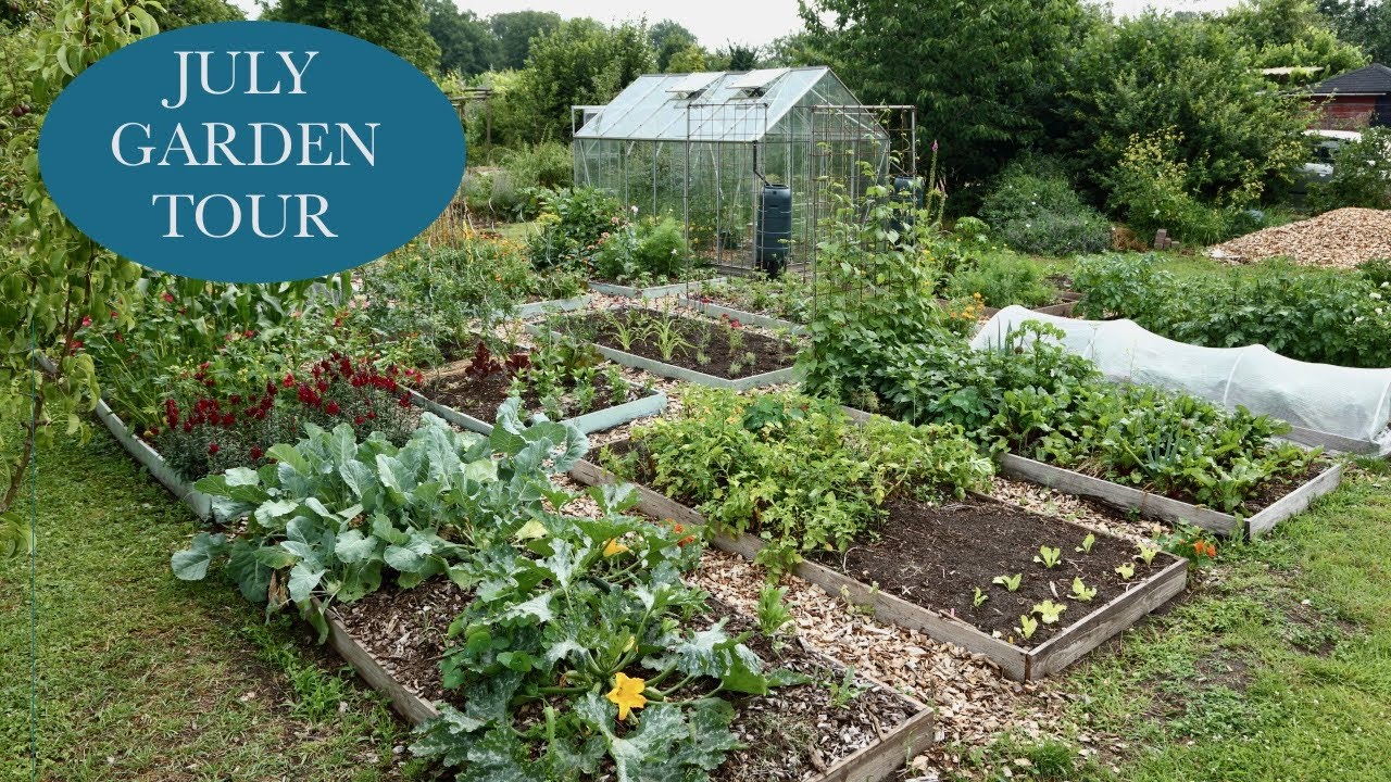JULY KITCHEN GARDEN TOUR - growing polycultures, succession sowing  & preparing for heat