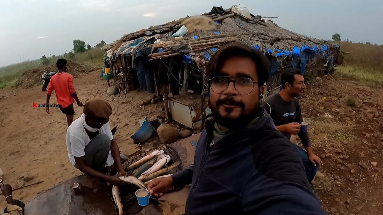 बहुत मुश्किल से मिला यहां फिशिंग करने का परमिशन || Biggest snakehead fishes🧐