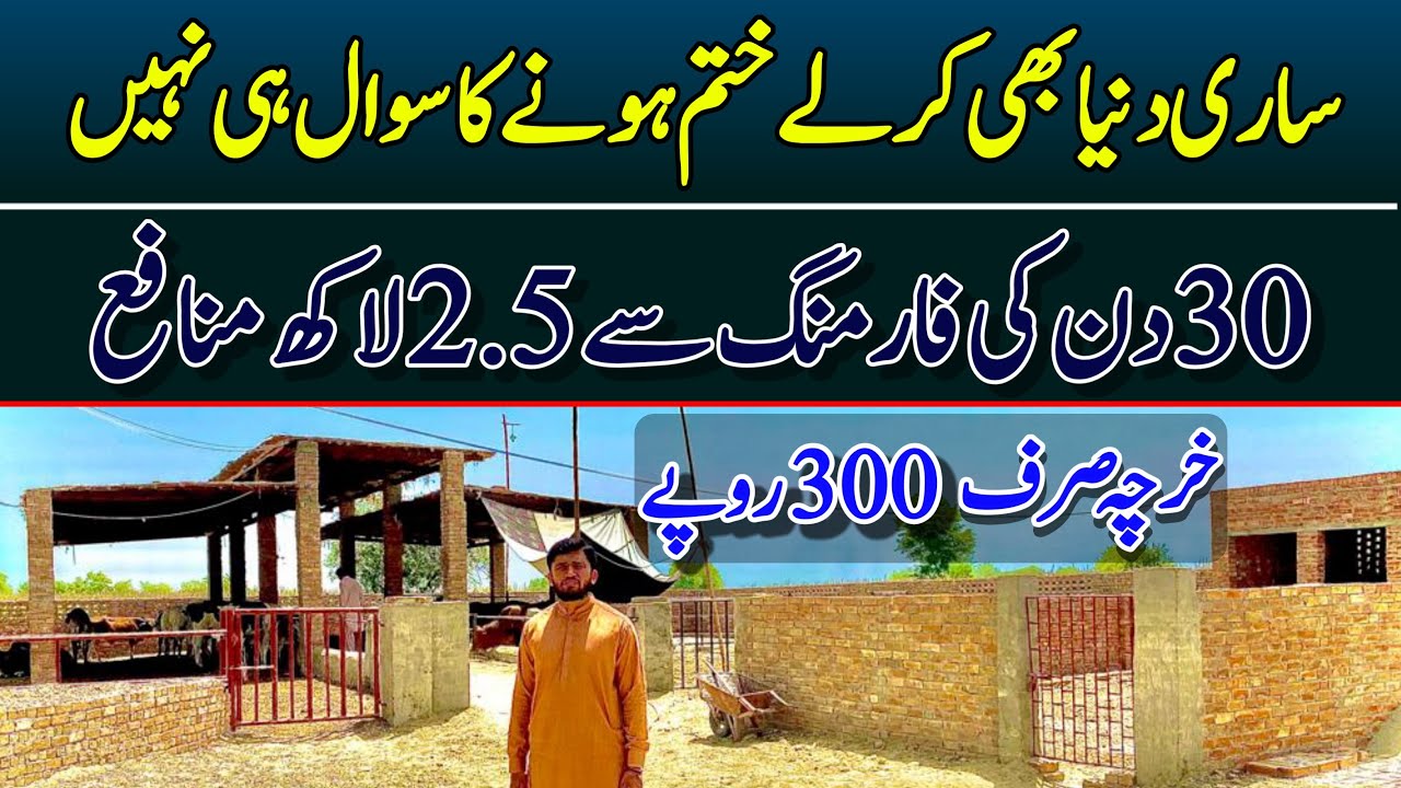 30 days Bachra farming business plan in pakistan