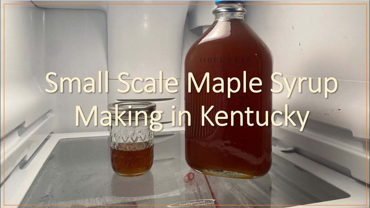 #219 :   Small Scale (4 tree) Kentucky Maple Syrup Making