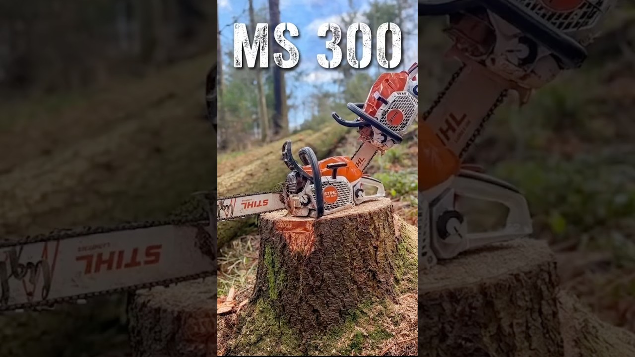 🌲 Stihl MS 300 heute wider im Einsatz! (Hinweis Unbezahlte Werbung) #forstwirtschaft #ms300