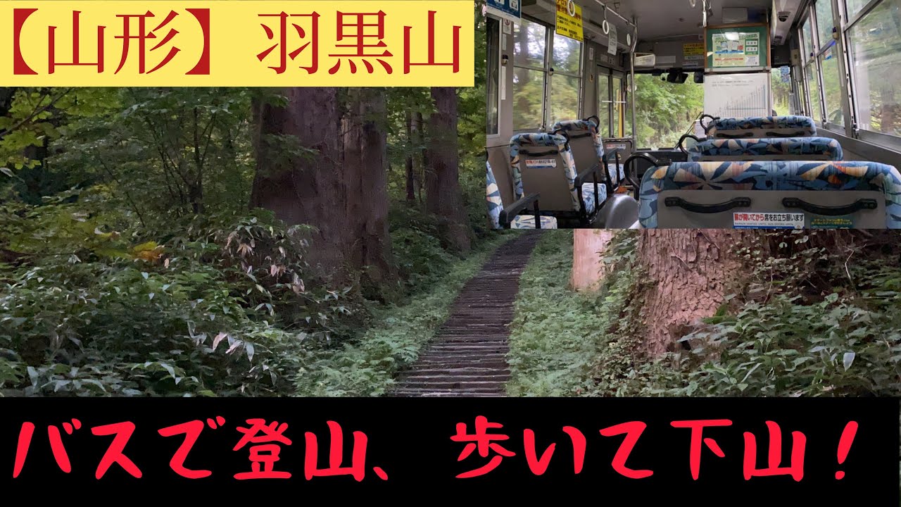 【山形】羽黒山をバスで登山し、歩いて下山してみた！〜途中でまさかの遭難⁉︎〜