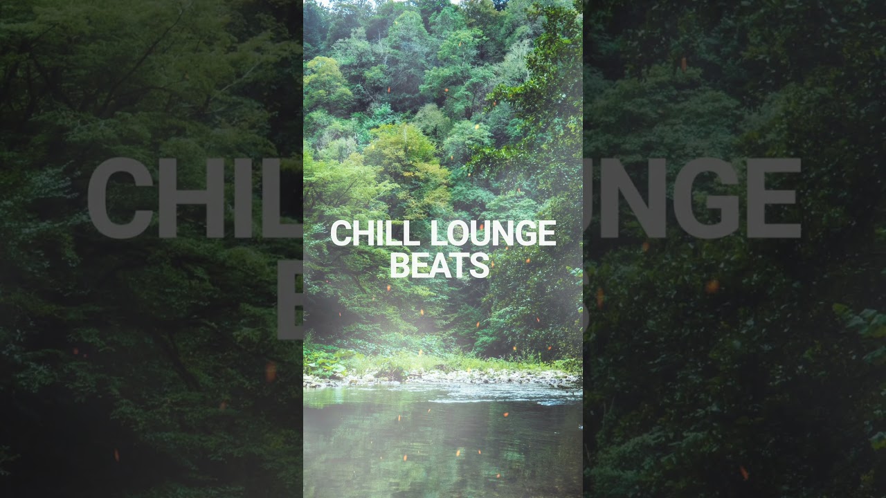 Chill Lounge Beats 🎶 